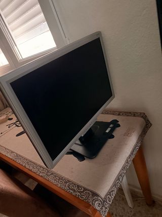 Monitor Computer Argento e Nero