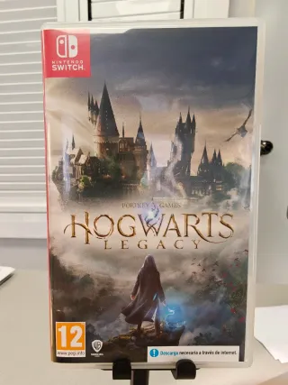 Hogwarts Legacy Nintendo Switch