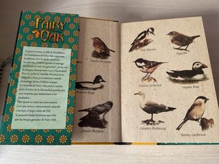 Fairy Oak. El poder de la luz: Fairy Oak 3