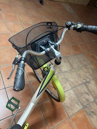 Bicicleta Retro con Canasta