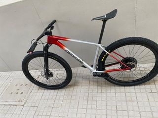 Cannondale FSI - Left 8