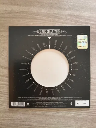 Ligabue - Il sale della terra 7