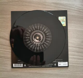 Ligabue - Il sale della terra 7