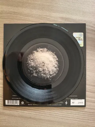 Ligabue - Il sale della terra 7