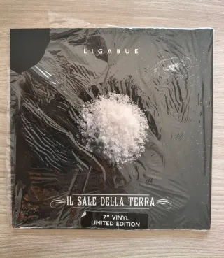 Ligabue - Il sale della terra 7