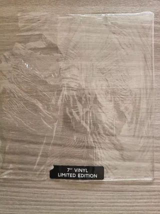 Ligabue - Il sale della terra 7