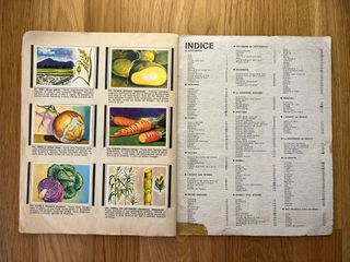 Conosciamo il mondo, album completo, Flash 1981