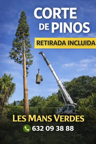 Corte de pinos y limpieza de terrenos