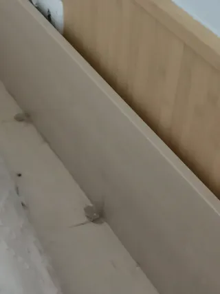 Habitación juvenil con cajones, estantería y zapat