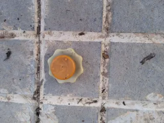 Tapa y soporte vaso expansión Peugeot 205