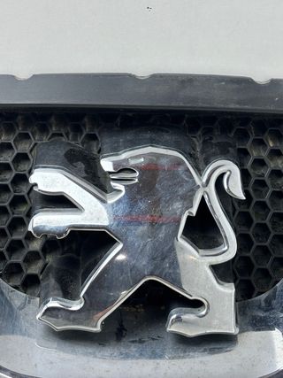 Rejilla Delantera Peugeot 308 con Logo