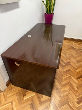 Mesa de oficina de madera oscura. Tamaño 80x160.