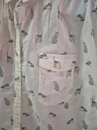 Camisa infantil diseño gatos
