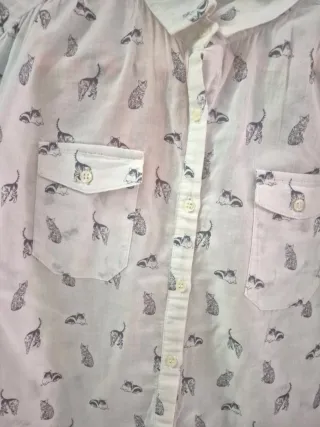 Camisa infantil diseño gatos