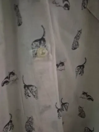 Camisa infantil diseño gatos