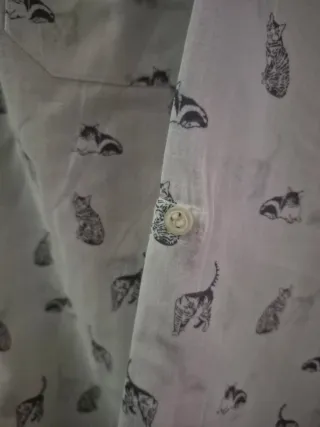 Camisa infantil diseño gatos