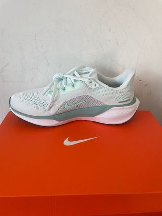 Nike Pegasus 41 Zapatillas Running