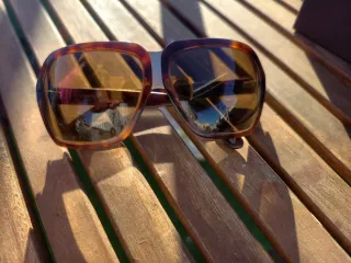 Gafas de sol Tom Ford con cristales extra