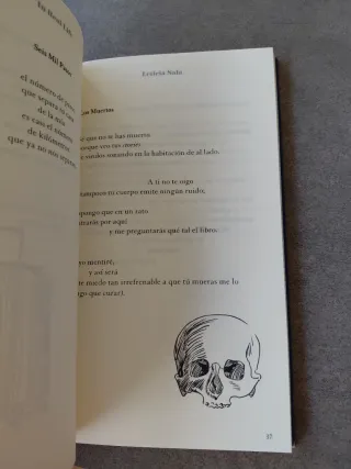 In Real Life: Una novela en poemas