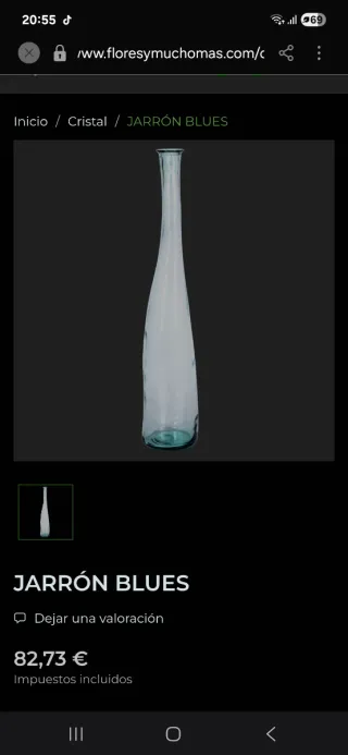 Jarrón Botella Grande Vidrio