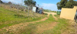 Casa con terreno mas otro terreno. Casi 11.000m²