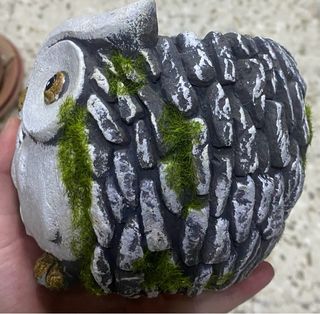 Macetero Búho Terracota Gris y Dorado