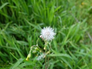 Cámara Fujifilm X20 Plata y Negra