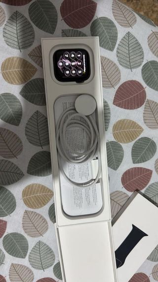 Apple Watch SE 44mm Space Gray GPS
