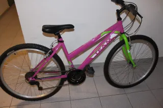 Bicicleta Juvenil 26 pulgadas