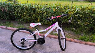Bicicletta bambina Regina 24 pollici