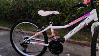 Bicicletta bambina Regina 24 pollici
