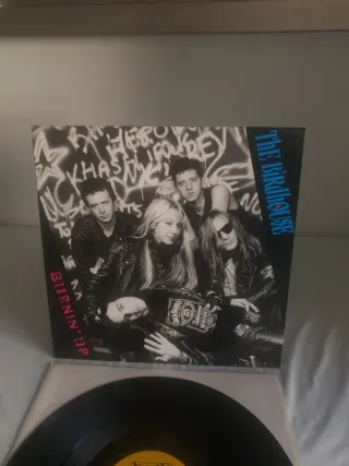 Vinilo The Birdhouse Burnin' Up 1988