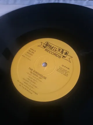 Vinilo The Birdhouse Burnin' Up 1988