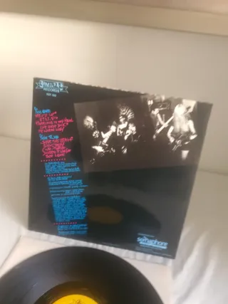 Vinilo The Birdhouse Burnin' Up 1988