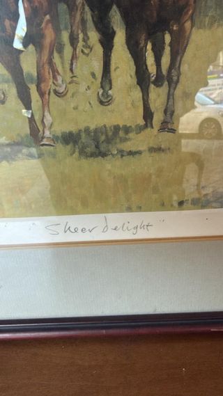 Lámina Sheer Delight numerada