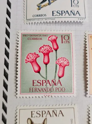 14 Sellos España Fernando Poo Varios Valores