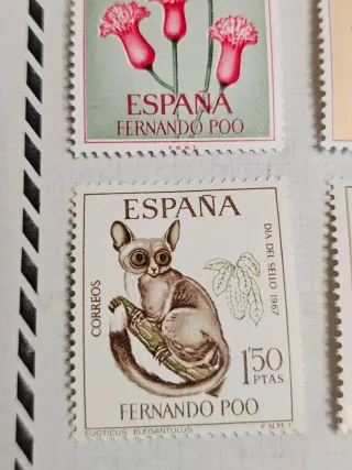 14 Sellos España Fernando Poo Varios Valores