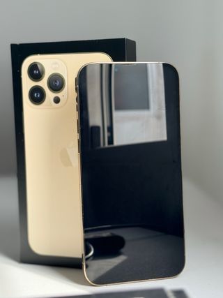 iPhone 13 Pro 256 GB 100%