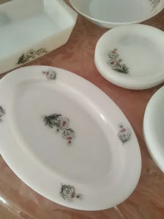 Vajilla Arcopal Margaritas Vidrio