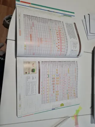 Guía Oficial Animal Crossing Nintendo Switch