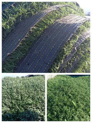 Césped artificial reciclado