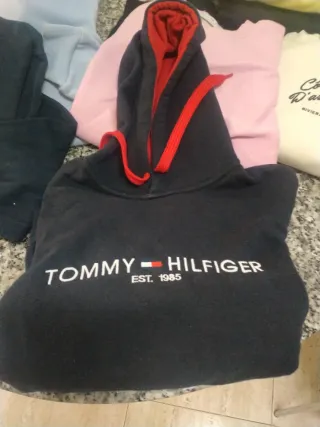 Sudadera Tommy Hilfiger con capucha