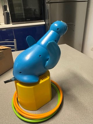 Acchiappa foca gioco per bambini