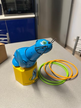 Acchiappa foca gioco per bambini