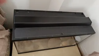 Acuario 100L con equipamiento y decoración