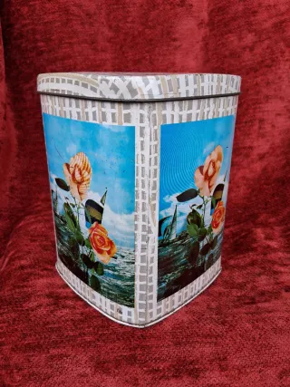 Lata Cibel-Cao Antigua