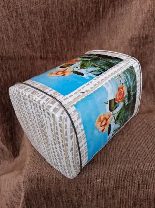 Lata Cibel-Cao Antigua