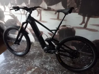 ebike