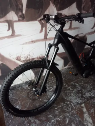 ebike