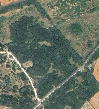 Solar en venta en Algaida